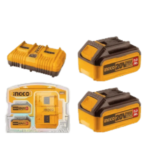 Kit Énergie Expert P20S : 2 Batteries Maxi-Autonomie 20V (5.0Ah) + 1 Chargeur Double Simultané 4A  FBCPK2425