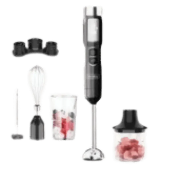 Mixeur plongeant sans fil 16V 5 en 1 500 ml (NOIR)