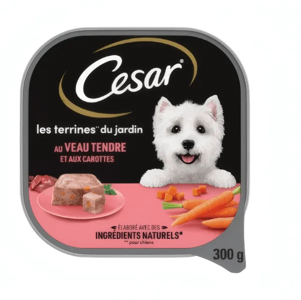 Cesar – Pâtée pour Chien Adulte Terrine Veau & Carottes – 300 g