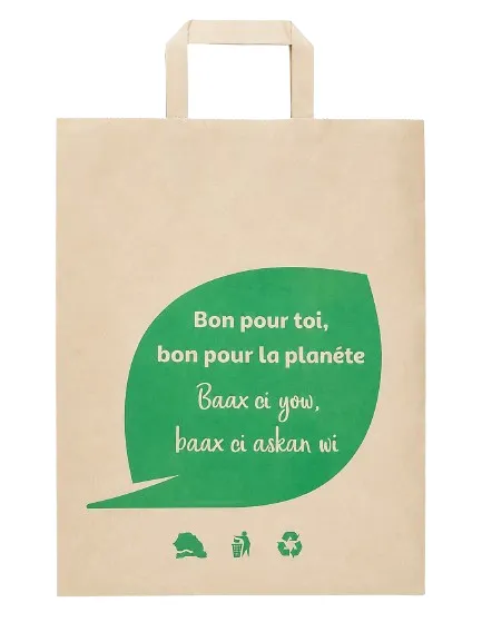 Sac kraft PM Carbone 14