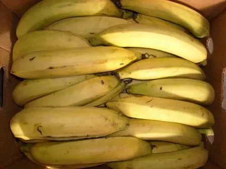 Banane (Carton 18 kg)