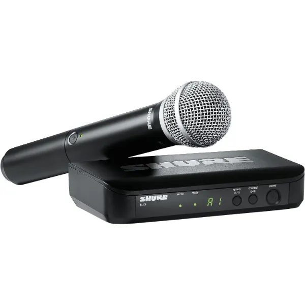 Système de Microphone à Main Sans Fil professionnel avec Microphone PG58