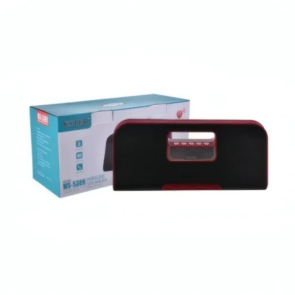 Haut-Parleur Portable WSTER WS-5389 avec Radio FM et Lecteur USB