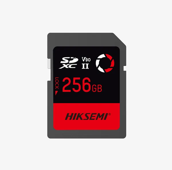 Carte Mémoire Micro SD Hiksemi Neo 256GB HD 10MB/s