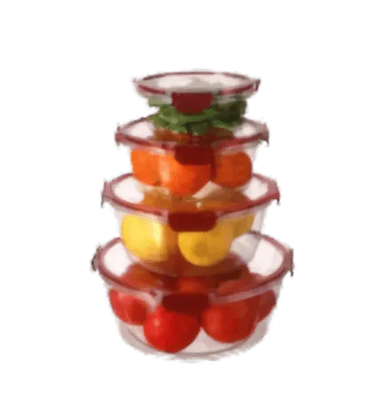 Set de 4 Bols en Silicone Hermétiques