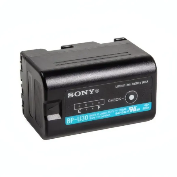 Batterie Lithium-ion Sony BP-U30 pour Caméscopes