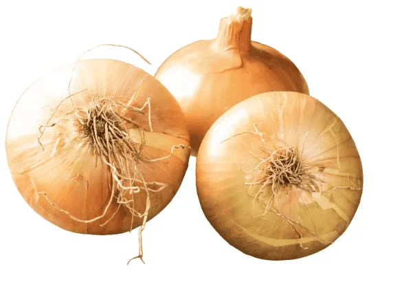 OIGNON BLANC IMPORT/KG