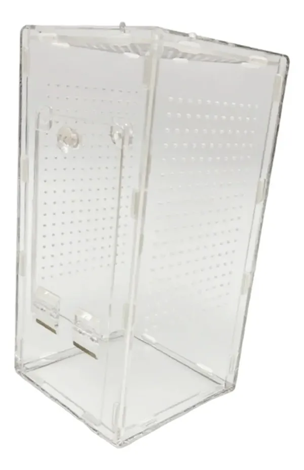 TERRARIUM – Cage en Acrylique pour Mante Religieuse