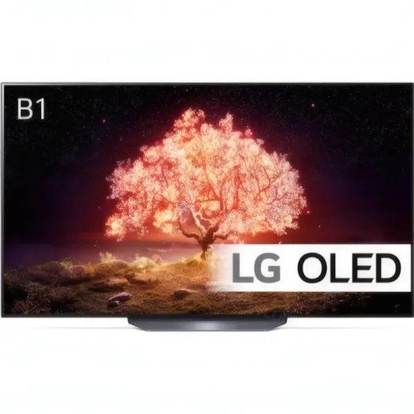 Téléviseur LG OLED 4K 65" - OLED65B1