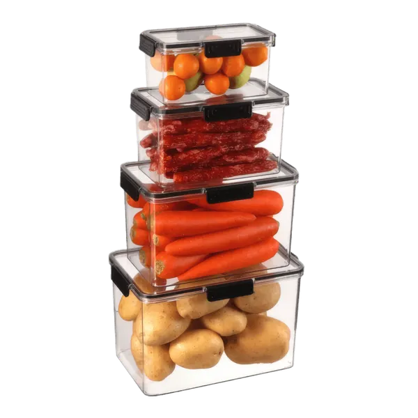 Ensemble de 4 Contenants Alimentaires Decakila