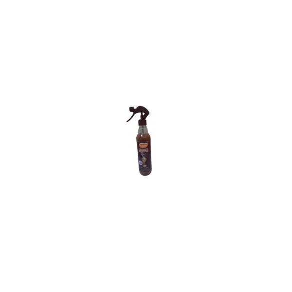 Désodorisant CHARME D'ORIENT FRESHY 450ML