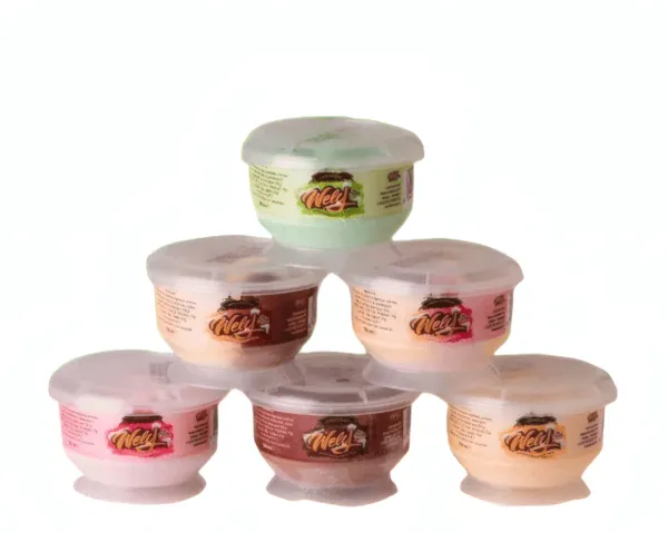 WELY - Pot de glace saveur chocolat 150ML