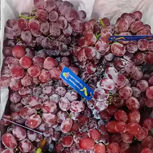 Raisin Rouge Avec Pépins (Carton 8 kg)