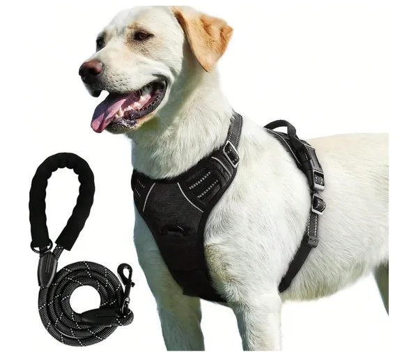 Harnais Réfléchissants pour Chien + Laisse 1,5m – Lot de 2, Réglables et Confortables