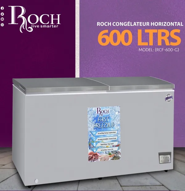 Congelateur Roch Horizontal 600LITRES Gris RCF600G