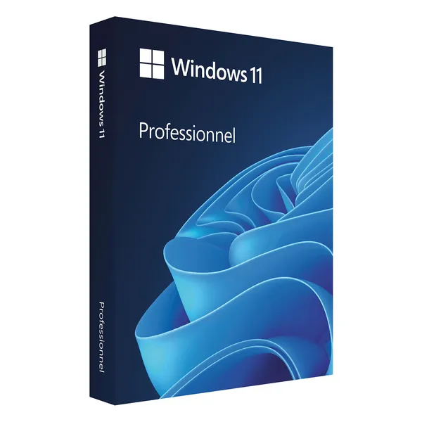 License Windows 11