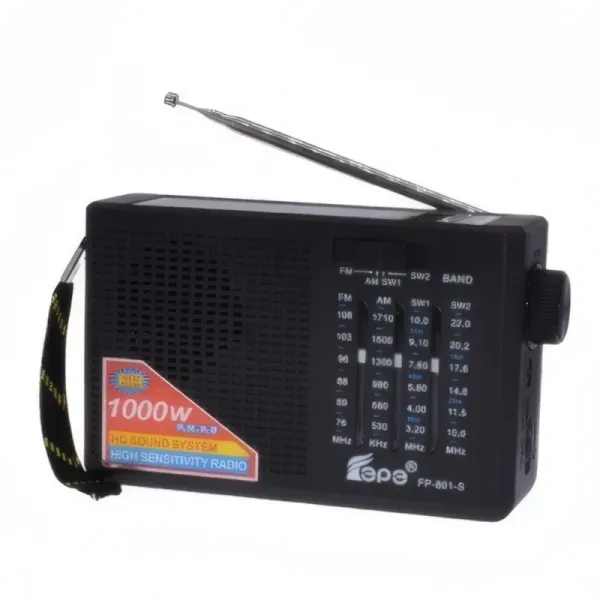 Radio Solaire Portable FEPE FP-801-S avec Bluetooth et Recharge USB