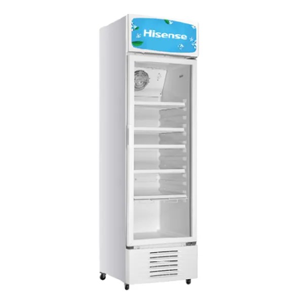 Refrigerateur Hisense Vertical 221 litres Vitrine FL30FC