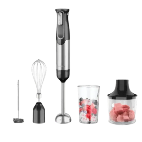 Mixeur Plongeant Multifonction 5 en1 - Acier Inoxydable Noir