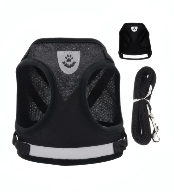 Ensemble Harnais et laisse pour animaux