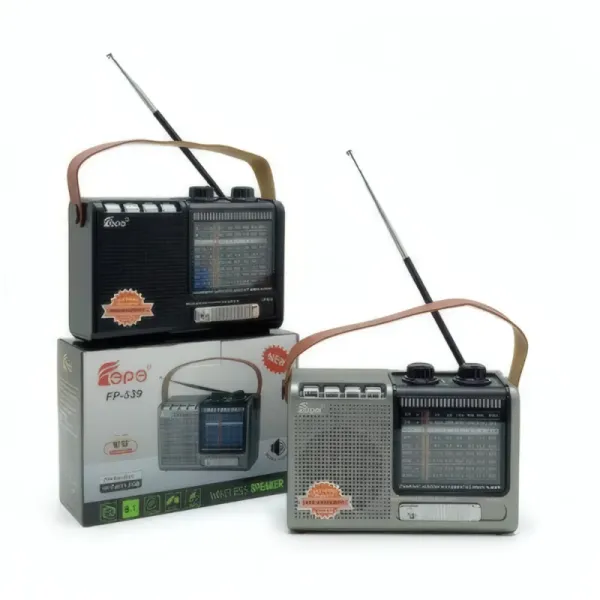 Radio Haut-parleur Bluetooth Multibande Portable FEPE FP-539