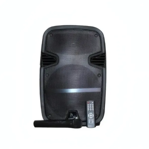 Haut-parleur Trolley Portable JIEPAK JP-K12 avec Micro sans Fil