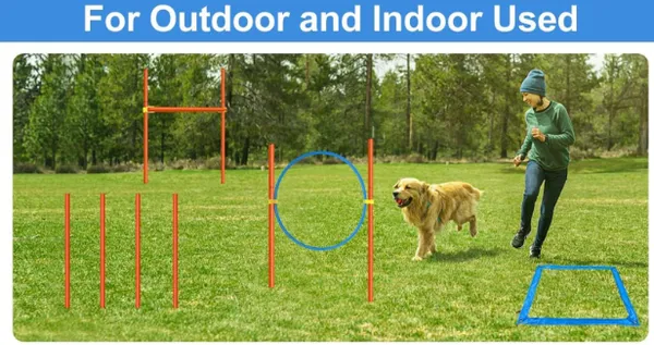 Kit d'entraînement d'agilité pour chien – Obstacle de démarrage
