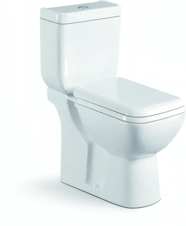 Chaise anglaise à deux pièces à chasse directe 3009S en céramique blanc