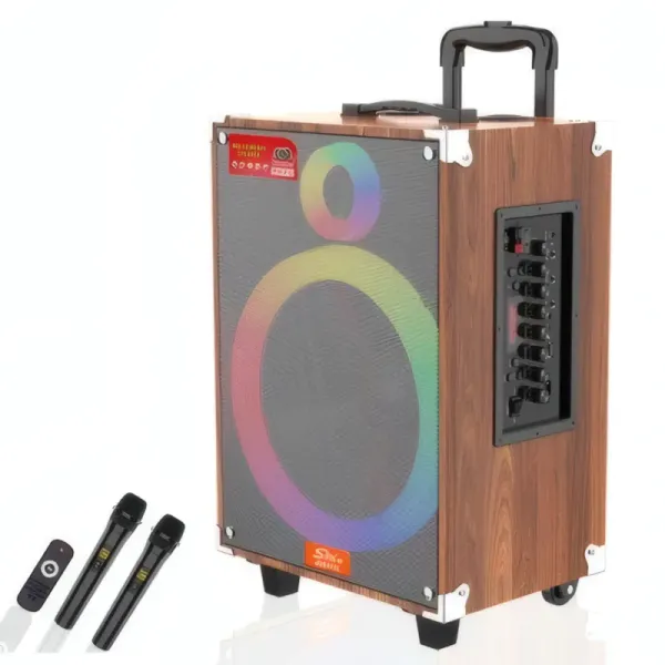 Haut-parleur Karaoke Portable JQS JSQ910L avec Éclairage LED