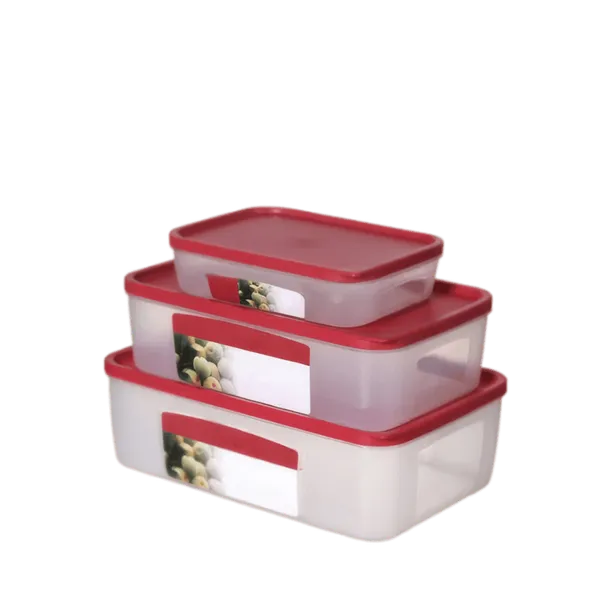 Lot de 3 Boîtes de Conservation Decakila