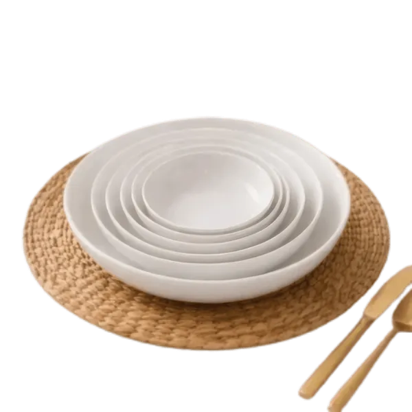 Ensemble 6 Assiettes de table Incassable