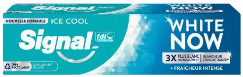 Dentifrice White Now Ice Cool Signal 75 ml