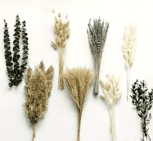 Herbe de Pampa Artificielle Boho – Lot Déco Maison