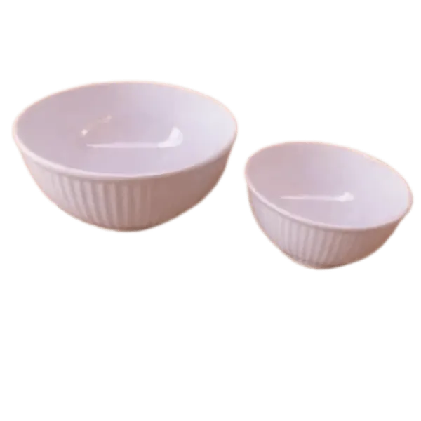 Lot de 2 Bols IncassableGm /Pm