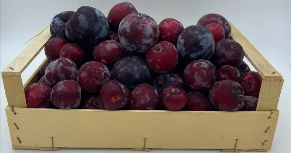 Prune (Carton 6 kg)