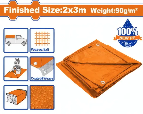 Tarp