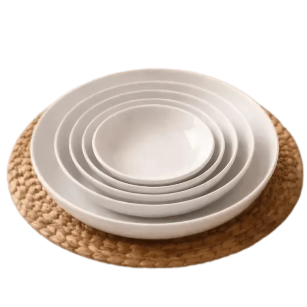 Ensemble 5 Assiettes de table Incassable