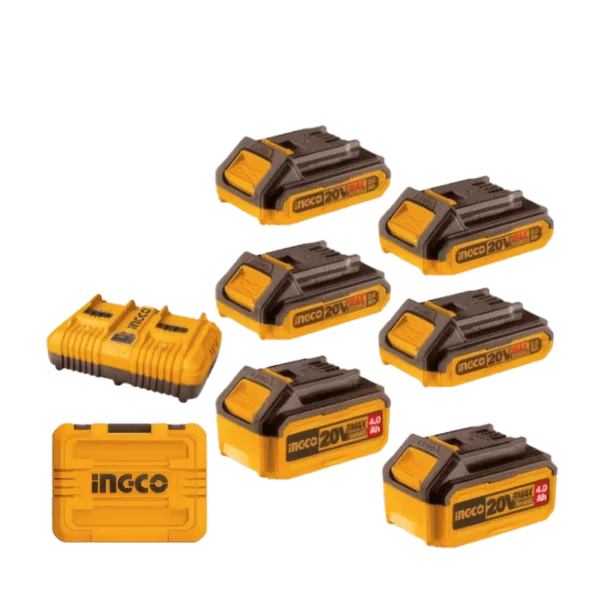 Méga-Pack Énergie Mixte P20S : 6 Batteries (4x 2.0Ah + 2x 4.0Ah) + 1 Chargeur Double Simultané 4A avec Mallette   COSLI230701