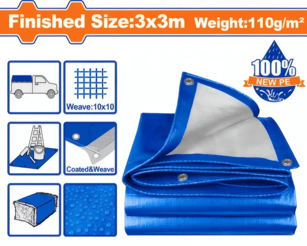 Tarp