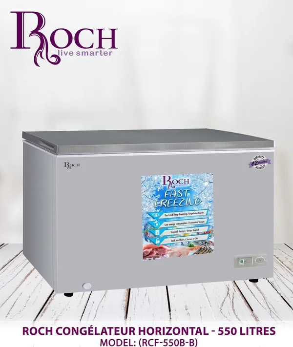 Congelateur Roch Horizontal 550LITRES Gris RCF550B